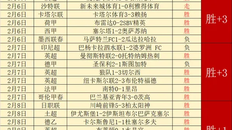 桑德兰对阵卢顿预热：中场关键球员伤愈回归，赛事预测剖析